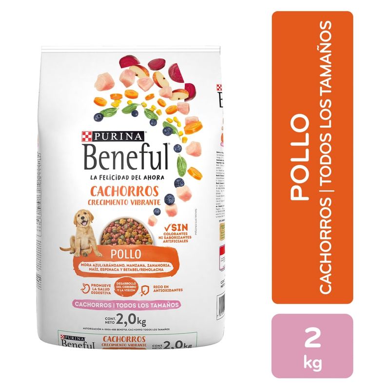 Alimento seco Purina Beneful para cachorro sabor pollo -2 kg