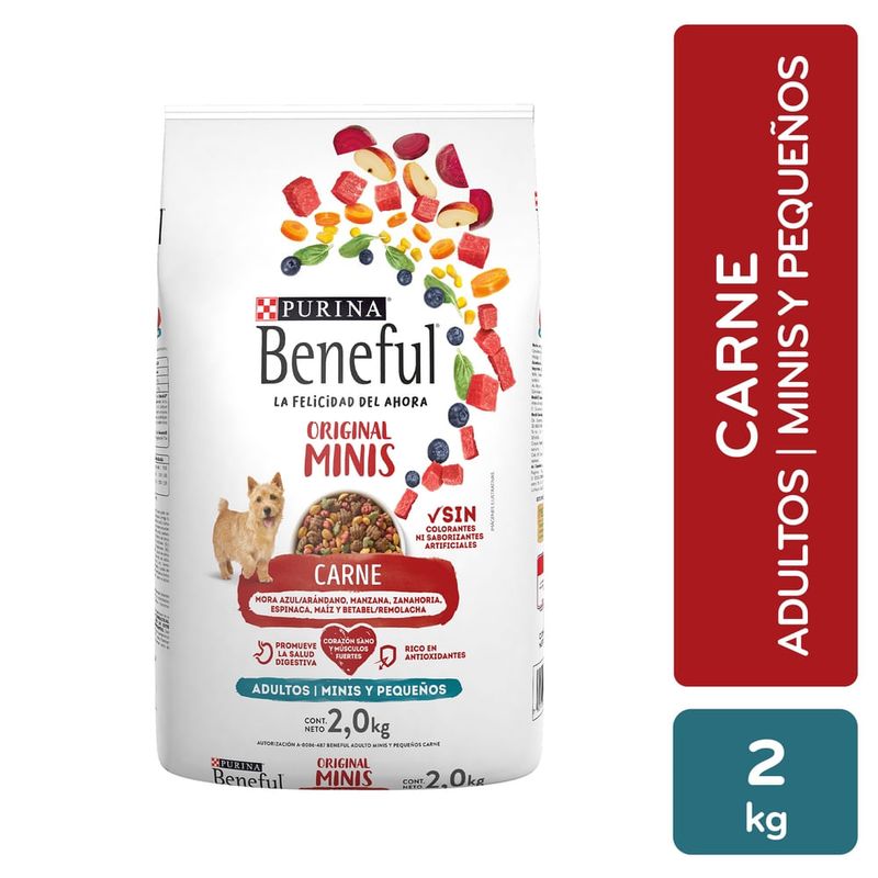 Alimento seco Purina Beneful para perro adulto Minis sabor carne -2 kg