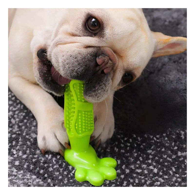 JUGUETE CEPILLO PARA PERROS TOOTHBRUSH