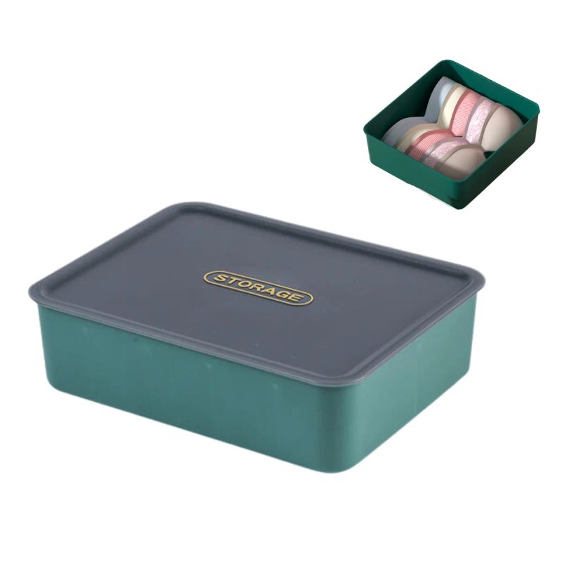 ORGANIZADOR PLASTICO ROPA INTERIOR 37X33X12CM
