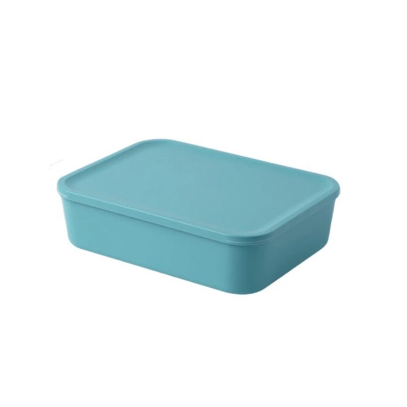 CAJA PLAST CON TAPA 32.5*24.5*9CM