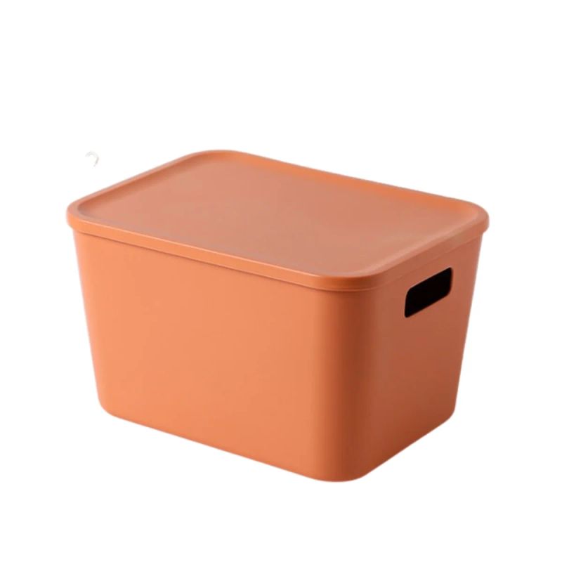 CAJA PLAST CON TAPA 32.5*24.5*19CM GRD