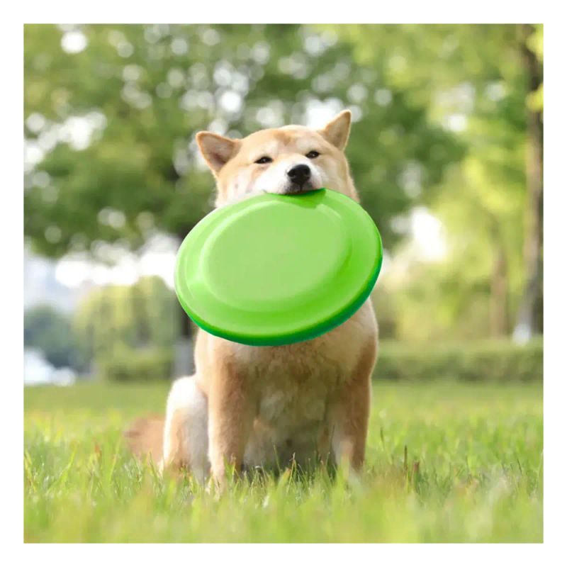 JUGUETE FRISBEE 22 CM