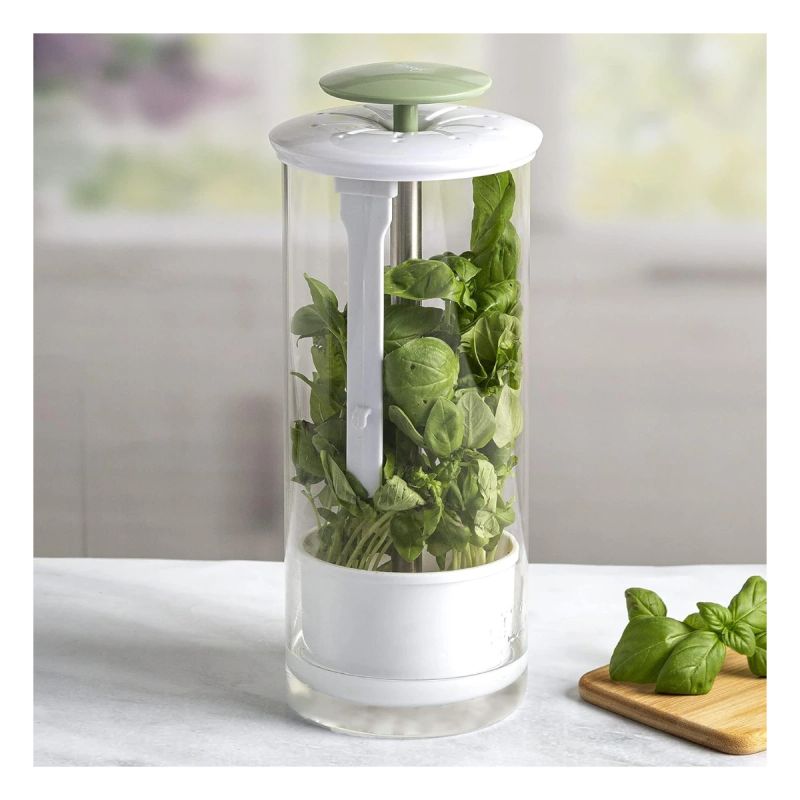 ENVASE PARA PRESERVAR VEGETALES FRESCOS
