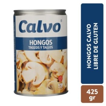 Hongos Calvo Trozos Y...