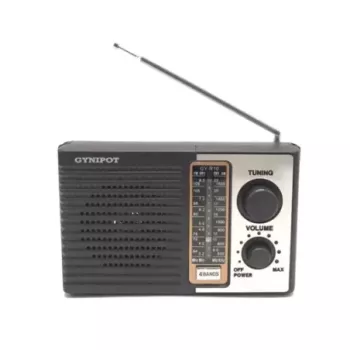 Radio gynipot gy-r10