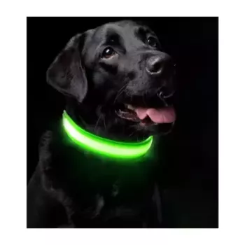 Collar led neon de nylon...