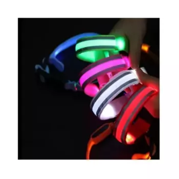 Collar led neon de nylon...